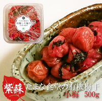 しそ梅干し 紀州小梅 たまな食堂のしそ梅干 500g 小粒 無添加 有機 オーガニック 無農薬 無除草剤 無化学肥料 自然栽培 紀州産 昔ながらのすっぱい梅干 田舎梅干 紫蘇梅干 赤紫蘇 塩分18% 漬物 漬け物 弁当 おにぎり おむすび 一部地域除き送料無料