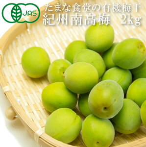 青梅 たまな食堂の有機青梅(紀州南高梅)約2kg 有機栽培 無農薬 和歌山県産 紀州産 田辺 有機JAS オーガニック 無除草剤 無化学肥料 自然栽培 サイズ混合 梅酒用 梅シロップ用 梅干用 産地直送 お取り寄せ 数量限定 【一部地域を除き送料無料】【単品配送商品|同梱不可】