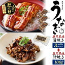 敬老の日 ギフト お中元 夏ギフト うなぎ 鹿児島県産 うなぎの蒲焼き 240g (80g×3) & 肝焼き 100g 蒲焼き 国産 鰻 ウナギ 珍味 レンチン 湯煎 おつまみ 惣菜 おかず 小分け 個包装 真空パック お祝い お返し 内祝い プレゼント 総菜 丑の日 2025 うなぎ蒲焼