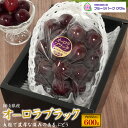 お中元 夏ギフト オーロラブラック 600g 岡山県産 葡萄 ぶどう ブドウ 種なし 皮ごと食べれる 種無し 国産 日本産 フルーツ くだもの 果物 旬の果物 贈答用 ギフト プレゼント お供え 暑中見舞い お盆 のし お供え物 スイーツ 残暑見舞い