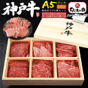 敬老の日 ギフト お中元 夏ギフト A5 ランク 神戸牛 6種 食べ比べセット 480g ブランド牛 3~4人前 焼肉 特上カルビ 焼き肉 国産 黒毛和牛 和牛 牛肉 焼肉用 バーベキュー 高級焼肉セット 贈答用 熨斗 お肉 内祝い 8000円 お礼 お祝い プレゼント 肉 結婚内祝い 残暑見舞い