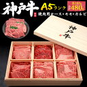 秋ギフト ギフト A5 等級 神戸牛 ロース モモ カルビ 食べ比べ セット 480g 肉ギフト 焼肉 バラ ブランド牛 焼き肉 国産 黒毛和牛 牛肉 焼肉 和牛 焼肉セット バーベキュー 3人前 内祝い プレゼント お返し お祝い お礼 10000円 肉 結婚祝い 残暑見舞い