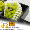 お中元 夏ギフト シャインマスカット 晴王 500g〜900g 1〜2房 岡山県産 はれおう 晴王 マスカット 葡萄 ぶどう ブドウ 種なし 皮ごと食べれる 種...