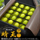 お中元 夏ギフト シャインマスカット 晴王 20粒入 ギフトボックス 岡山県産 M~LLサイズ スイーツ マスカット はれおう ぶどう ブドウ 種なし ぶどう 皮ごと食べられる 種無し 国産 日本産 フルーツ くだもの 果物 贈答用 ギフト プレゼント 暑中見舞い お供え お盆 お供え物