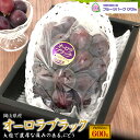 お中元 夏ギフト オーロラブラック 600g 岡山県産 葡萄 ぶどう ブドウ 種なし 皮ごと食べれる 種無し 国産 日本産 フルーツ くだもの 果物 旬の果物 贈答用 ギフト プレゼント お供え 暑中見舞い お盆 のし お供え物 スイーツ