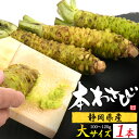 本わさび わさび 静岡県産 生 約100g〜120g 1本 2本 3本 セット 生わさび 生山葵 山葵 生ワサビ ワサビ ギフト 贈答 家庭用 お中元 お取り寄...
