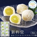 2025 お中元 「新杵堂」まるごとシャインマスカット大福 アイスクリーム シャーベット 洋菓子 ひんやり 冷たい スイーツ お菓子 日持ち 詰め合わせ 手土産...