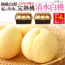 【7月上旬発送】 お中元 夏ギフト 桃 訳あり 家庭用 白鳳 3kg (9~12玉入り) 和歌山県産 もも はくほう 完熟 甘い 国産 日本産 紀の川市 特産品 和歌山 高級フルーツ 果物 くだもの 旬 ブランド品 詰め合わせ 贈り物 贈答 プレゼント ギフト 御中元
