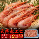 赤エビ 国産 海産物 天然 赤海老 2kg 4kg(約40〜60尾)有頭 赤エビ 赤えび 海老 エビ えび アルゼンチン アルゼンチン産 ギフト 贈り物 送料無...