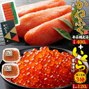 かねふく からし明太子 かねふく 辛子明太子 400g いくら 60g×2個セット おつまみ ご飯のお供 酒の肴 惣菜 おかず おうちごはん 名産品 特産品 詰...
