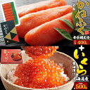 かねふく からし明太子 めんたいこ 明太子 400g いくら 60g 2個セット ご飯のお供 酒の肴 惣菜 おかず おうちごはん 名産品 特産品 詰め合わせ セ...