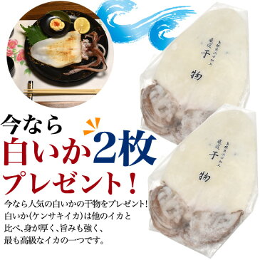 のどぐろ干物 140g 3枚 + 白イカ（剣先イカ）2枚 おまけ付 国産 産地直送 山陰浜田 アカムツ 高級魚 冷凍 おつまみ のどぐろ ノドグロ 干物 山陰 島根県産 開き 3匹 3尾 焼き魚 焼魚 魚 さかな ひもの 贈り物 贈答品 贈答用 お中元 お歳暮 内祝い お祝い ギフト プレゼント