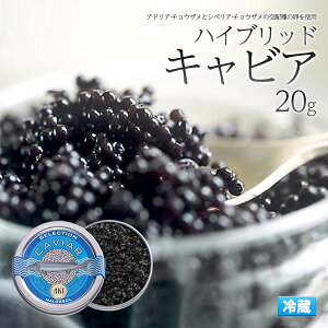 AKI アキ キャビア 20g ハイブリッドキャビア 瓶詰め ドイツ産 （クール便 冷蔵配送）高級食材 20グラム 世界の三大珍味 三大高級食材 パーティー 記念日 誕生日 ハイブリットキャビア 贈り物 ギフト 高級品 フレンチ レストラン 洋食 お寿司