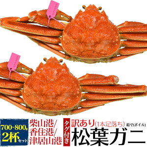 【松葉ガニ】兵庫県でとれたブランド蟹！美味しい松葉ガニのおすすめは？