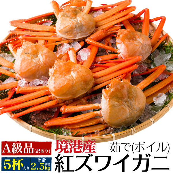 【茹で】A級品 紅ズワイガニ 5杯(合計2.5kg前後) 姿 ボイル カニ 蟹味噌たっぷり 酒の肴 日本海 山陰 産直 国産 鳥取県 境港 べにずわい蟹 ベニズワイガニ かにみそ カニみそ 茹で蟹 訳あり お得セット クール便 5匹 紅ズワイガニ解禁【着日指定不可】【冷蔵】直送