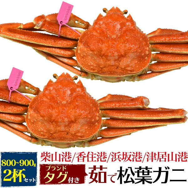 【釜茹×2枚】兵庫県産 松葉ガニ 姿 (ズワイガニ)【800g～900g×2杯】産地 ブランドタグ付 ボイル（柴山かに / 津居山かに / 香住かに / 浜坂かに）松葉蟹 まつばガニ 2匹 最高級 日本海 産地直送 産直 国産 ブランド蟹 茹で蟹 茹でたて クール便【冷蔵】