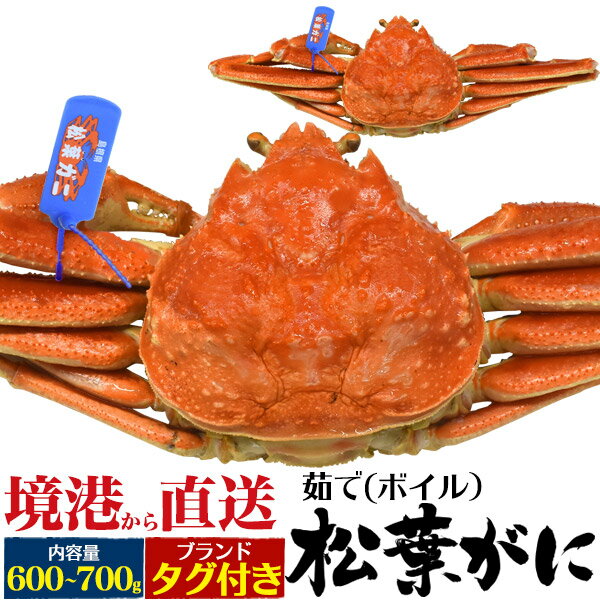 お歳暮 冬ギフト ギフト 松葉ガニ 釜茹 ×1枚 境港 姿 ズワイガニ 600g ～ 700g ×1杯 ブランド タグ付 ボイル カニ 山陰産 島根県産 鳥取県産 松葉蟹 まつばガニ 1匹 高級 ギフト 最高級 日本海 産地直送 産直 国産 ブランド蟹 まつばがに 茹で蟹 茹でたて クール便【冷蔵】