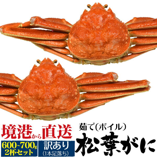 お歳暮 冬ギフト ギフト 訳あり 足取れ1本 釜茹 ×2枚 境港 松葉ガニ 姿 ズワイガニ 600g ～ 700g ×2杯 ボイル カニ山陰産 島根県産 鳥取県産 松葉蟹 マツバガニ 2匹 高級 贈り物 日本海 産地直送 国産 ブランド蟹 茹で蟹 茹でたて アウトレット お買い得 訳アリ クール便