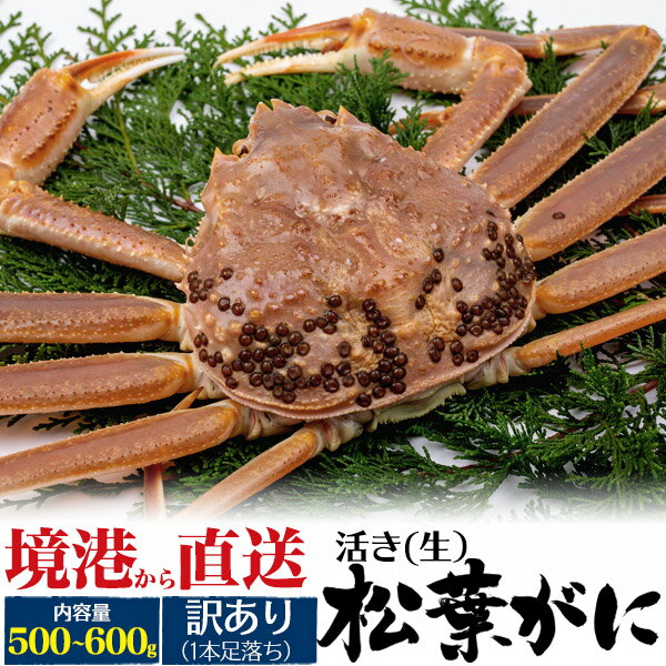 訳あり 足取れ1本 【活蟹×1枚】境港 生 松葉ガニ 姿 (ズワイガニ) 【500g～600g×1杯 ...