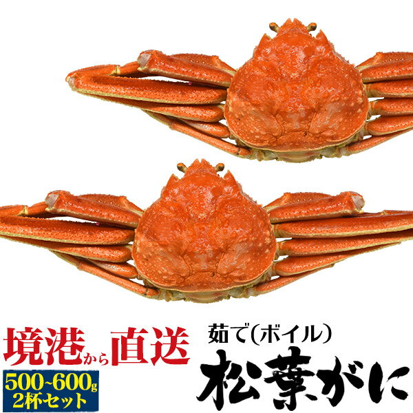 お歳暮 冬ギフト ギフト 松葉ガニ 釜茹 2枚 境港 松葉ガニ 姿 ズワイガニ 500g～600g×2杯 ブランド タグ付 ボイル カニ 山陰産 島根県産 鳥取県産 松葉蟹 まつばガニ 2匹 高級 ギフト 最高級 日本海 産地直送 産直 国産 ブランド蟹 まつばがに 茹で 蟹 茹でたて クール便