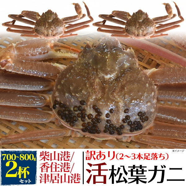 訳あり 足取れ2～3本 【活蟹×2枚】兵庫県産 生 松葉ガニ 姿 (ズワイガニ) 【700g～800 ...