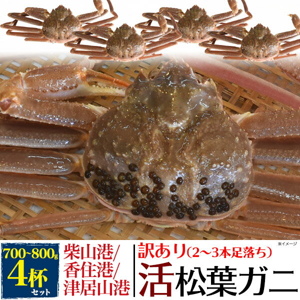 訳あり 足取れ2～3本 【活蟹×4枚】兵庫県産 生 松葉ガニ 姿 (ズワイガニ) 【700g～800 ...