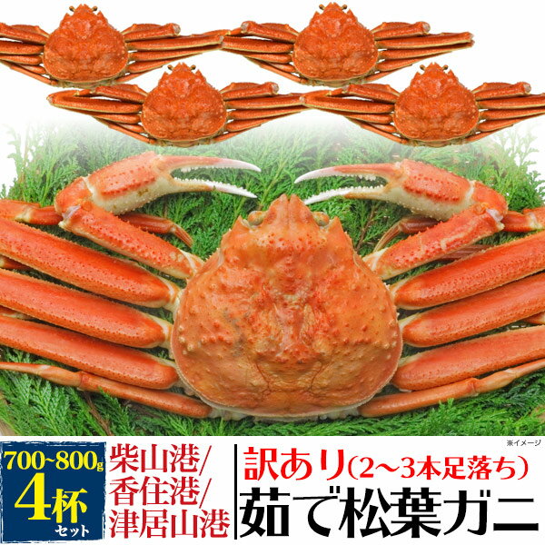 訳あり 足取れ2～3本 【釜茹×4枚】兵庫県産 松葉ガニ 姿 (ズワイガニ)【700g～800g×4 ...