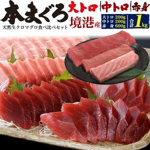 天然 本マグロ 1kg 食べ比べセット（大トロ/中トロ/赤身）生クロマグロ 1キロ まぐろづくし ブロック お刺身 おさしみ 寿司 丼 海鮮丼 国産 生マグロ 生鮪 生まぐろ イベント 誕生日 手巻き寿司 おつまみ 魚 さかな 贈り物 ギフト 日本海 未冷凍 産地直送 クール【冷蔵】直送