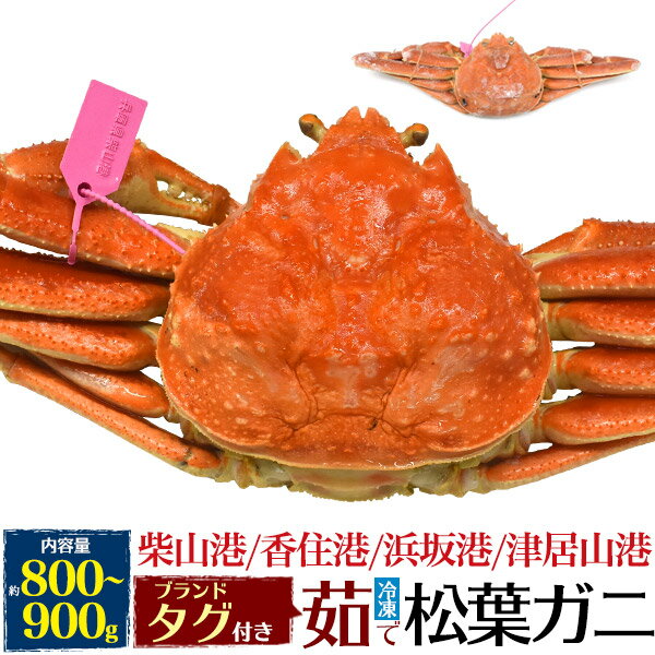 【釜茹 冷凍×1枚】兵庫県産 松葉ガニ 姿 (ズワイガニ) 【800g～900g×1杯】産地証明 ブ ...