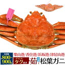 【釜茹 冷凍×1枚】兵庫県産 松葉ガニ 姿 (ズワイガニ) 【800g～900g×1杯】産地証明 ブ ...