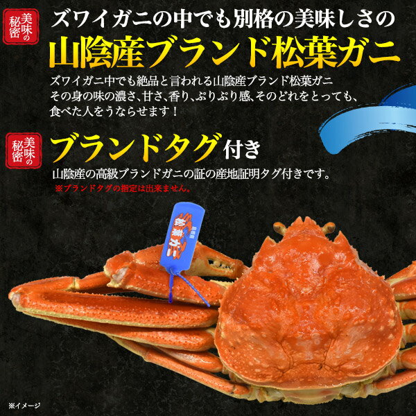 【釜茹 冷凍×1枚】境港 松葉ガニ 姿 (ズワイガニ)【700g〜800g×1杯】ボイル冷凍 カニ（山陰産 島根県産 鳥取県産）ブランドタグ付 松葉蟹 まつばガニ 1匹 高級 ギフト 最高級 日本海 産地直送 産直 国産 ブランド蟹 まつばがに 茹で蟹 茹でたて クール便【冷蔵】