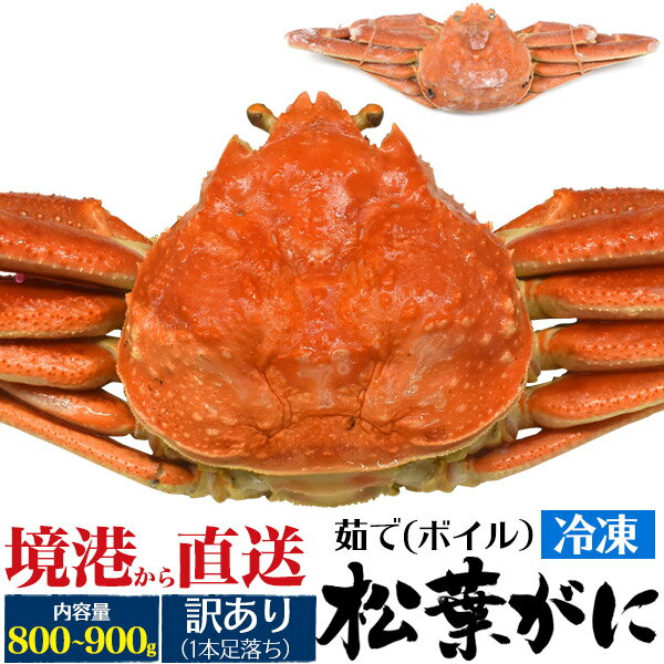 訳あり 足取れ1本【釜茹 冷凍×1枚】境港 松葉ガニ 姿 (ズワイガニ)【800g～900g×1杯】ボイル冷凍 カニ（山陰産 島根県産 鳥取県産）松葉蟹 まつばガニ 1匹 高級 日本海 産直 国産 ブランド蟹 アウトレット 松葉かに まつばがに 茹で蟹 冷凍 直送