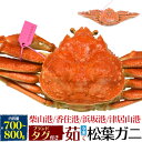 【釜茹 冷凍×1枚】兵庫県産 松葉ガニ 姿 (ズワイガニ) 【700g～800g×1杯】産地証明 ブ ...