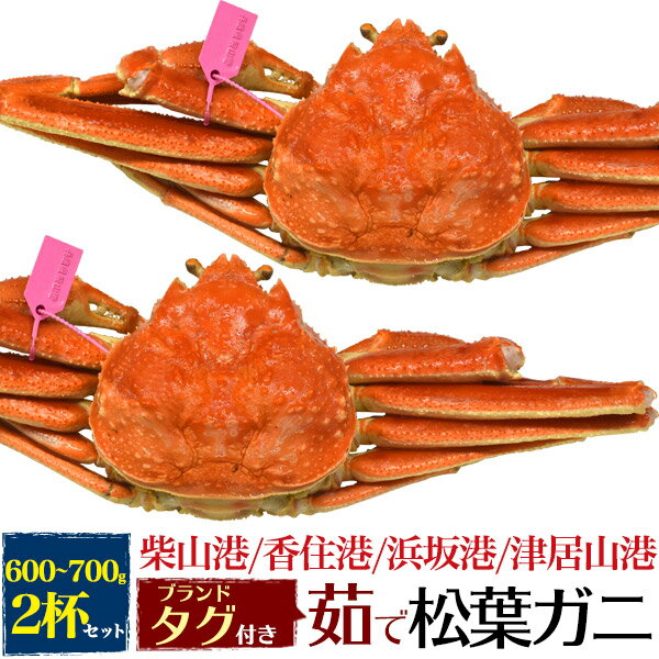 【釜茹×2枚】兵庫県産 松葉ガニ 姿 (ズワイガニ)【600g～700g×2杯】産地 ブランドタグ付 ボイル カニ（柴山かに / 津居山かに / 香住かに / 浜坂かに）松葉蟹 まつばガニ 2匹 最高級 日本海 産地直送 産直 国産 ブランド蟹 茹で蟹 茹でたて クール便【冷蔵】