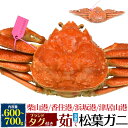 【釜茹 冷凍×1枚】兵庫県産 松葉ガニ 姿 (ズワイガニ) 【600g～700g×1杯】産地証明 ブ ...