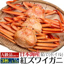 日本海産 茹で 紅ズワイガニ 3杯(合計1.5kg前後) 姿 A級品 ボイル カニ 蟹味噌たっぷり  ...