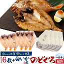 のどぐろ福袋 のどぐろ6枚 + 白いか4枚 干物セット 島根県 山陰 浜田 産地直送 アカムツ 干物セット 高級魚 開き おつまみ のどぐろ干物 さかな 焼き魚...