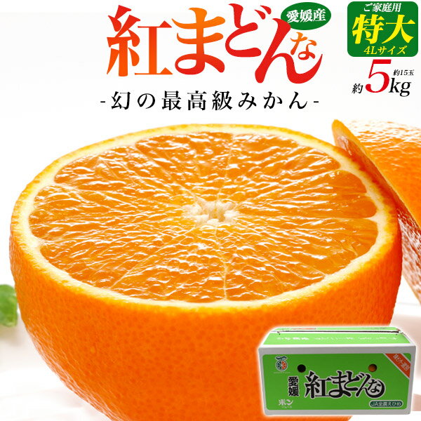 紅まどんな 特大4L 約5kg（約15玉）ご家庭用 みかん 愛媛県産 大容量 箱売り 5キロ 15個 高級みかん ミカン 紅マドンナ べにまどんな ご自宅用 国産 愛媛 甘い 美味しい 果物 訳ありアウトレット 送料無料 産地直送 直送 hmのサムネイル