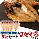 お中元 夏ギフト のどぐろ5枚 高級干物セット 【中サイズ×1 / 小サイズ×4】 島根県 山陰 浜田 産地直送 アカムツ 干物セット 高級魚 開き おつまみ ...