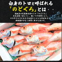 のどぐろ干物 110g 5枚 産地直送 山陰浜田 アカムツ 高級魚 冷凍 おつまみ のどぐろ ノドグロ 干物 山陰 島根県 開き 5匹 5尾 焼き魚 焼魚 魚 さかな ひもの 贈り物 贈答用 お返し 内祝い お祝い ギフト 名産 特産品 直送 2