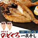 【母の日早割4/19まで♪】ノドグロ 高級国産のどぐろ150g×3尾 送料無料 防腐剤不使用 冷凍 ギフト 御祝 内祝 誕生日 プレゼント 一夜干し 干物 干物セット コンペ 景品 魚 海鮮 発送A 母の日 父の日 年賀 誕生日祝い 母の日 父の日