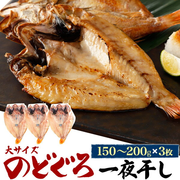 のどぐろ干物 180g 3枚 産地直送 山陰浜田 アカムツ 高級魚 冷凍 おつまみ のどぐろ ノドグ ...