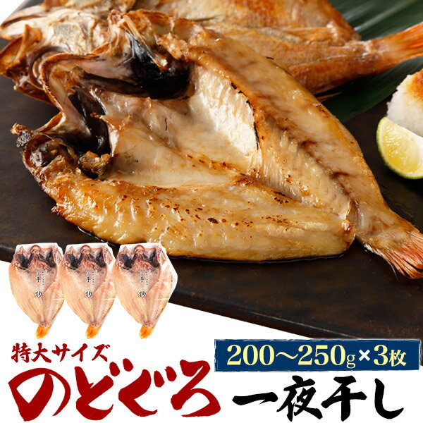 のどぐろ干物 特大サイズ 220g 3枚  産地直送 山陰浜田 アカムツ 高級魚 おつまみ のどぐろ ノドグロ 干物 山陰 島根県産 開き 3匹 3尾 焼き魚 焼魚 魚 さかな ひもの 贈り物 贈答用 お返し 内祝い お祝い ギフト 名産 特産品 直送