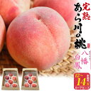 お中元 夏ギフト 訳あり あら川の桃 八幡白鳳 12〜14玉 (6〜7玉×2箱) サイズ不揃い 桃 和歌山県産 もも はくほう 甘い 国産 日本産 紀の川市 特...