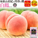 お中元 夏ギフト 桃 和歌山県産 白鳳 はくほう 4〜8玉 小箱 有機栽培 ふるーつふぁーむわかやま もも モモ ピーチ 甘い 贈答用 4個〜8個 国産 日本産...