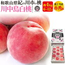 お中元 夏ギフト 桃 和歌山県産 川中島白桃 かわなかじまはくとう 6〜12玉 中箱 有機栽培 ふるーつふぁーむわかやま もも モモ ピーチ 甘い 贈答用 6個...