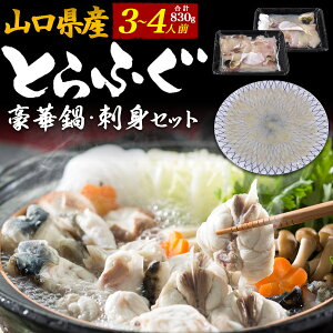 山口県産 とらふぐ鍋 刺身セット 3〜4人前 合計830g 新鮮 高級 河豚 てっちり テッチリ てっさ お造り ふぐ刺し 皮湯引き 2人前 3人前 お鍋 トラフグ鍋 フグ鍋 フグのお刺身 国産 日本産 熨斗対応 送料無料 贈り物 贈答用 ギフト 2023年 直送 クール便 【冷凍】