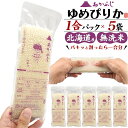 【1000円ポッキリ】無