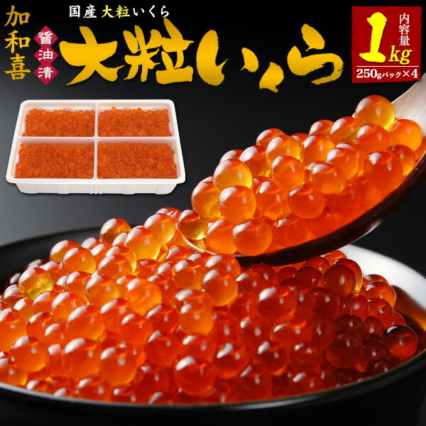 大粒いくら 醤油漬け 1kg (250g×4) 加和喜 イクラ醤油漬け いくらしょうゆ漬け かわき いくら醤油漬け 国産 日本産 魚卵 海鮮 寿司ネタ 海鮮丼 いくら丼 秘伝のタレ 低塩ダレ 大容量 薄皮 プチプチ食感 高級食材 ギフト 贈り物 日本産 冷凍配送 クール便