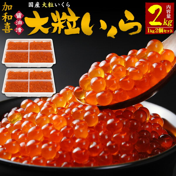 大粒いくら 醤油漬け 2kg (1kg×2個セット) 加和喜 イクラ醤油漬け いくらしょうゆ漬け かわき いくら醤油漬け 国産 日本産 魚卵 海鮮 寿司ネタ 海鮮丼 いくら丼 秘伝のタレ 低塩ダレ 大容量 薄皮 プチプチ食感 高級食材 ギフト 贈り物 日本産 冷凍配送 クール便 1